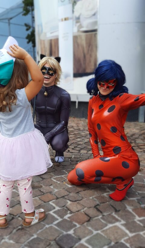 Ladybug Cat Noir
