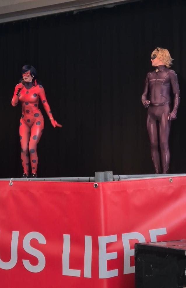 Ladybug Cat Noir